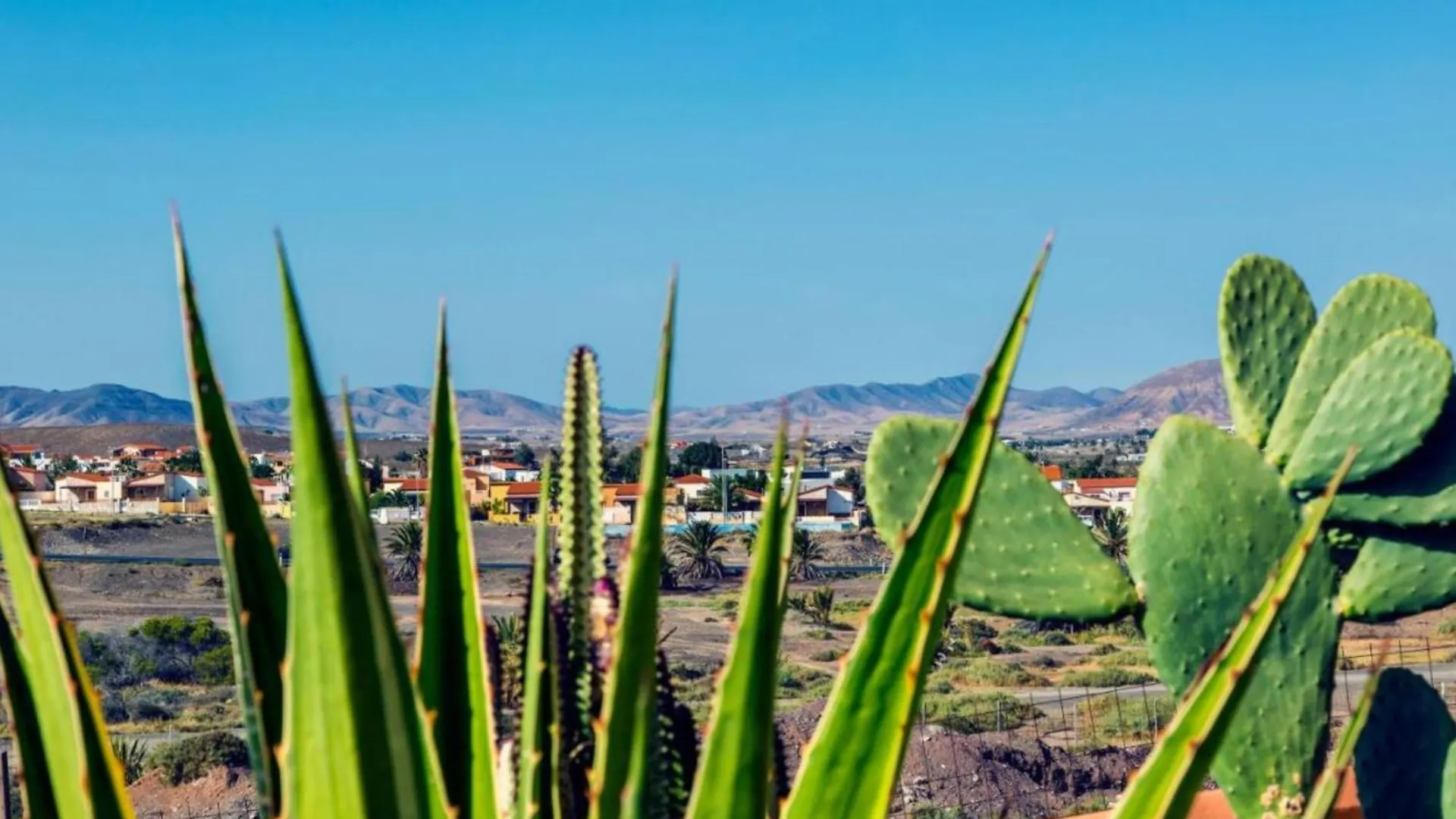 Villa Garden Tarajalejo Spanien